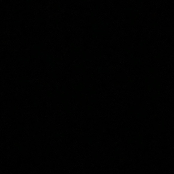 Meet your Posher, Riley - Picture 1 of 1